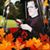 Carolyn Angel's profile image