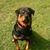 Troy Blevins's profile image