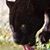 Terrance Frasier's profile image