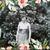 Biddie N Floyd Braswell's profile image