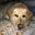Terry Meadows's profile image