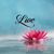Karen Schulden's profile image