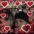 Christine Rodriguez's profile image