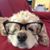 Teddy Forrest's profile image