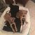 Carrie Ann B's profile image