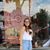Shelby Thacker's profile image