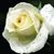 Cynthia Humphries's profile image