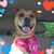 Erin Gerardi's profile image