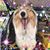 Lynette Keil-Veit's profile image