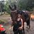 Cheryl Grenier Harrison's profile image
