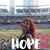 Monica Gillespie's profile image