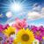 Barb Christison's profile image