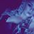 Catrina Oesterblad's profile image