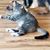 Althea Linda Wasson's profile image