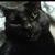 Jackie Davis's profile image