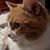Robin Byrd's profile image