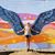 Anna Wysocki's profile image