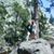 Karen Michels's profile image