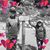 Judy Otter Garrison's profile image