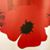Jennie Hefelfinger's profile image