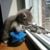 Hollis Caruthers's profile image