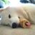 Lynn Gordon's profile image