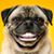 Jason Stepneck's profile image