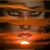 Dorene Colclough's profile image