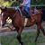 Connie Stanley Toepel's profile image