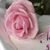 Ruddy Medina's profile image