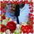 Josette Burns Stewart's profile image