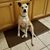 Deb Hicks's profile image