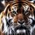 Doug Terranova's profile image