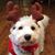 Tina Poliseno's profile image