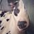 Jenny McKibben's profile image