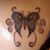 Susanne Dinho's profile image