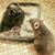 Diane M. Tarchala's profile image