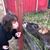 Deb Langol's profile image