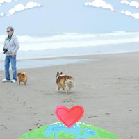 Janet Schmidt's profile image