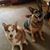Deb Heller-Prater's profile image