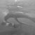 Kayla Jo Ruplinger's profile image