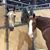 Connie Wensell's profile image
