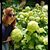 Gi Selle's profile image