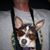 Ken Brzeczek's profile image