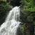 Melissa Mansfield Chancey's profile image