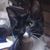 Jack Ilen's profile image