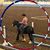 Terrell Gardner's profile image