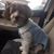 Brenda Ashmore Schweitzer's profile image