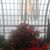 Maria Enriqueta Dominguez-Perea's profile image