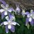 Anjanette Mapp's profile image